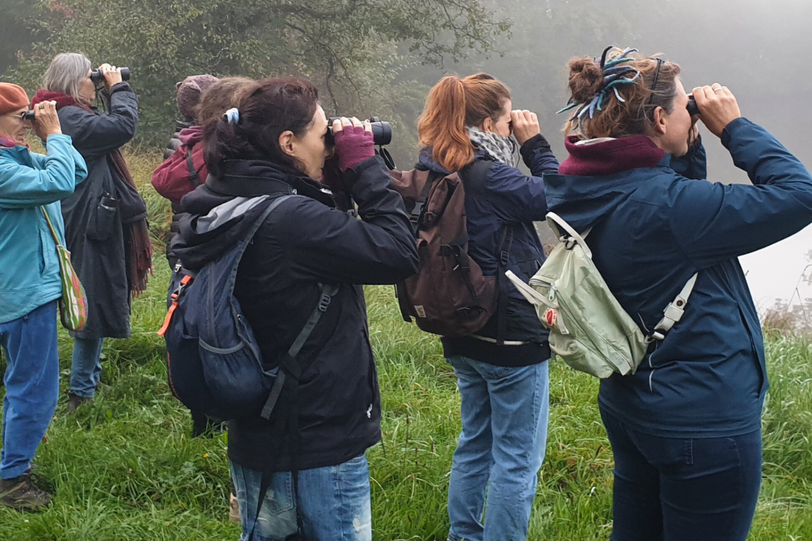 Haben Sie Lust, begleitet von Profis, Vogelstimmen kennenzulernen? Haben Sie Lust, begleitet von Profis, Vogelstimmen kennenzulernen?
