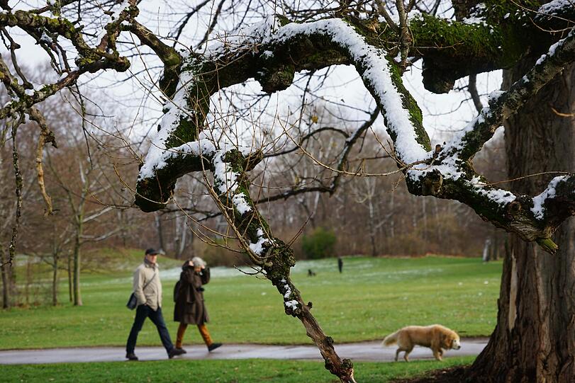 Entpspanntes Spazierengehen im Englischen Garten.