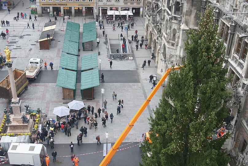 Am Marienplatz wurde am Montag der traditionelle Christbaum aufgestellt.