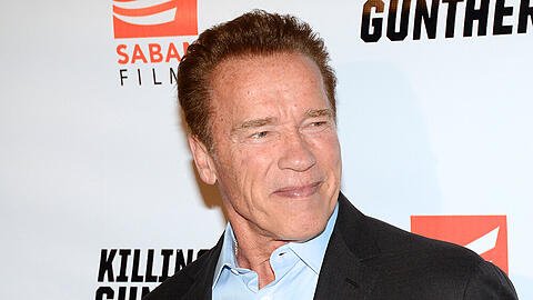 Mit Arnold Schwarzenegger wechselt ein weiterer Hollywood-Star ins Serienfach.