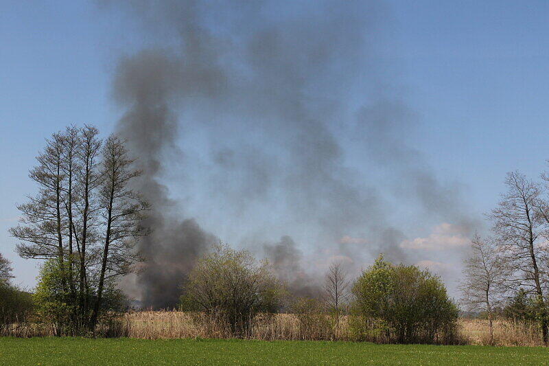 Mit einer Löschkette kämpften ein Feuerwehrmänner gegen die Feuerwalze, die sich durch das Schilf fraß.