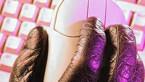 Der Iran hat am Mittwoch Berichte über einen neuen Hacker-Angriff auf sein Atomprogramm zurückgewiesen. Der Iran hat am Mittwoch Berichte über einen neuen Hacker-Angriff auf sein Atomprogramm zurückgewiesen.