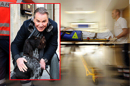 Der Schauspieler Fritz Wepper streichelt seinen Hund Aron am 01.03.2011 während Dreharbeiten in Freyburg (Burgenlandkreis). Schauspieler Fritz Wepper liegt Medienberichten zufolge mit einer schweren Blutvergiftung im Krankenhaus und schwebt in Lebensgefahr.