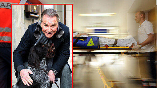 Der Schauspieler Fritz Wepper streichelt seinen Hund Aron am 01.03.2011 während Dreharbeiten in Freyburg (Burgenlandkreis). Schauspieler Fritz Wepper liegt Medienberichten zufolge mit einer schweren Blutvergiftung im Krankenhaus und schwebt in Lebensgefahr. Der Schauspieler Fritz Wepper streichelt seinen Hund Aron am 01.03.2011 während Dreharbeiten in Freyburg (Burgenlandkreis). Schauspieler Fritz Wepper liegt Medienberichten zufolge mit einer schweren Blutvergiftung im Krankenhaus und schwebt in Lebensgefahr.