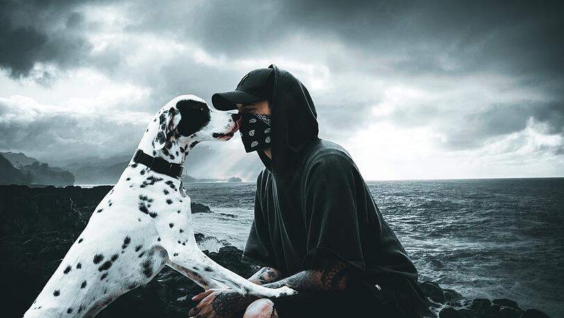 Das Duo "Dannero" dreht seit zwei Jahren Videos für Tiktok. Das Duo "Dannero" dreht seit zwei Jahren Videos für Tiktok.
