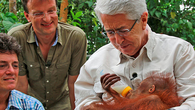 Frank Elstner begab sich auf Borneo auf die Spuren der Orang-Utans Frank Elstner begab sich auf Borneo auf die Spuren der Orang-Utans