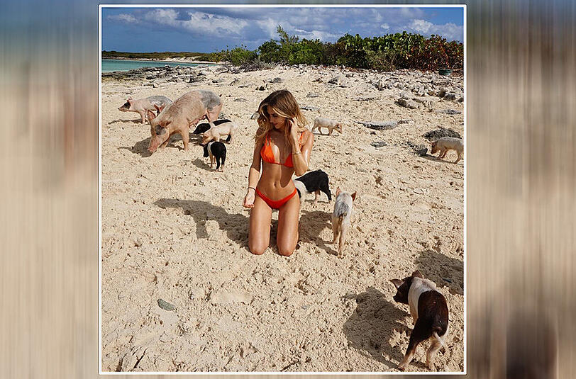 Wie sehr Ann-Kathrin Brömmel Tiere liebt, zeigt die 26-Jährige vor allem auf Instagram.