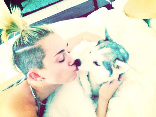 In letzter Zeit fällt Miley Cyrus eher durch Skandale auf. Privat ist sie weiterhin ganz ruhig und schmust am liebsten mit ihren Hunden.