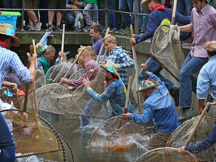Teilnehmer des Fischertages springen mit ihren Keschern in den Stadtbach - allerdings sind Frauen nicht zugelassen.