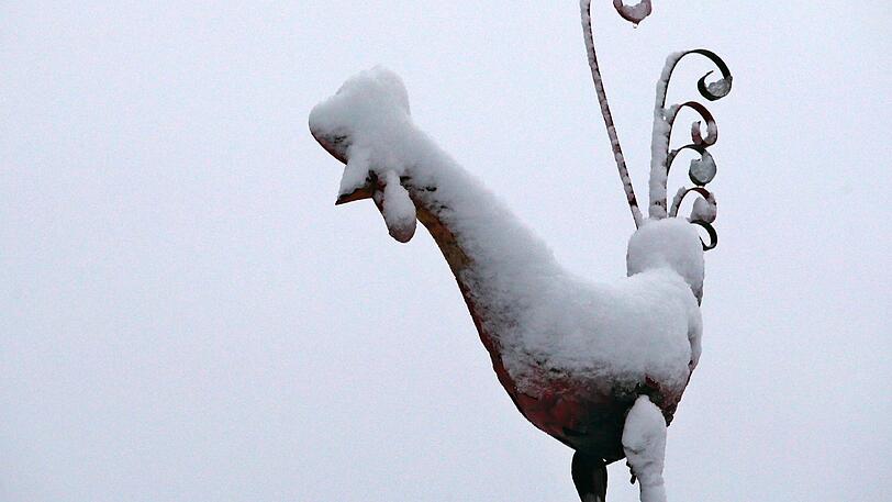 Eine weiße Haube hat dieser Wetterhahn.
