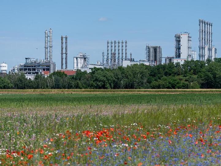 Blick über ein Kornfeld auf das Werk der Wacker Chemie AG. Foto: Robert Michael/zb/dpa/Archivbild