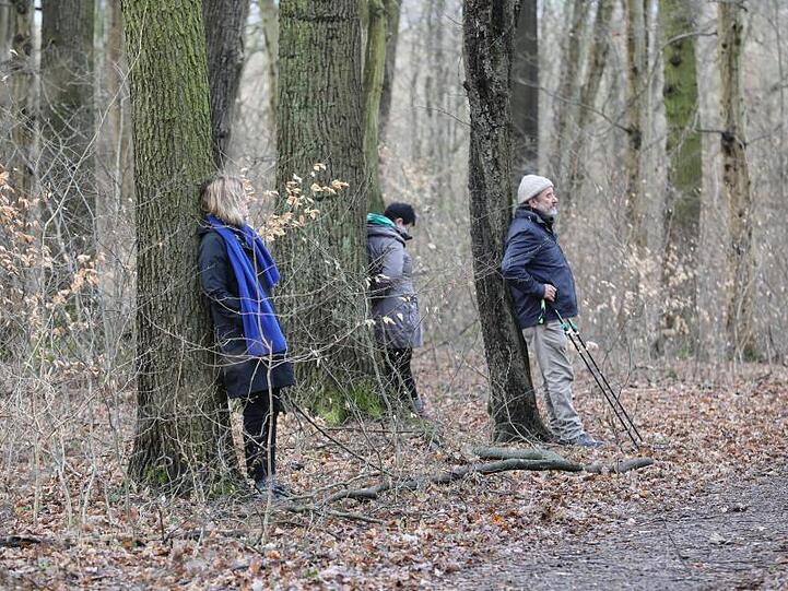 Teilnehmer einer "Achtsamzeit" meditieren an Bäumen im Nationalpark Hainich. Foto: Bodo Schackow/Archiv