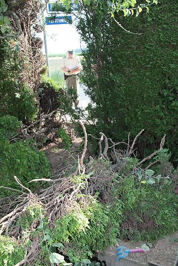 Kawasaiki-Fahrer rauscht durch die Hecke und wird schwer verletzt. Die Bilder.
