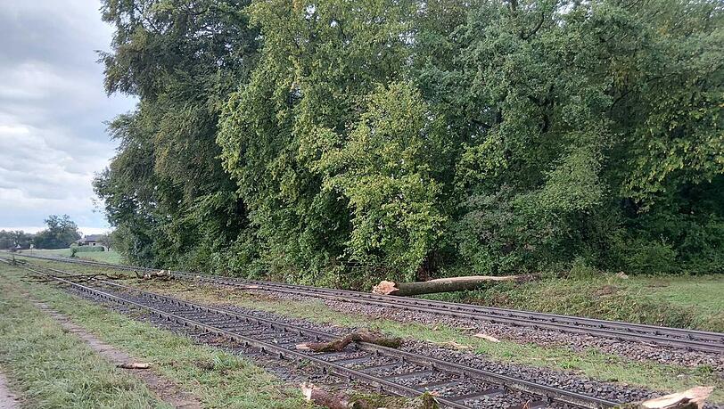 Der Zug war mit hoher Geschwindigkeit unterwegs, als er mit dem Baum zusammenstieß. Der Zug war mit hoher Geschwindigkeit unterwegs, als er mit dem Baum zusammenstieß.