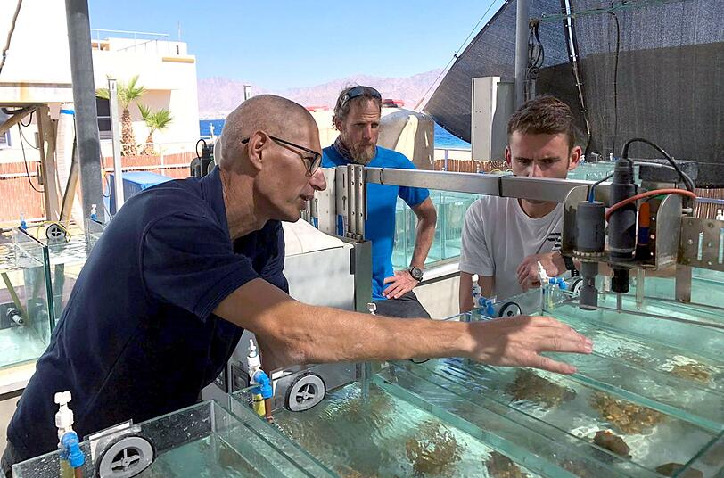 Wissenschaftler untersuchen, welche Auswirkungen h&ouml;here Wassertemperaturen auf die Weltmeere und ihre Bewohner haben. Daf&uuml;r forschen sie auch in der Vergangenheit.