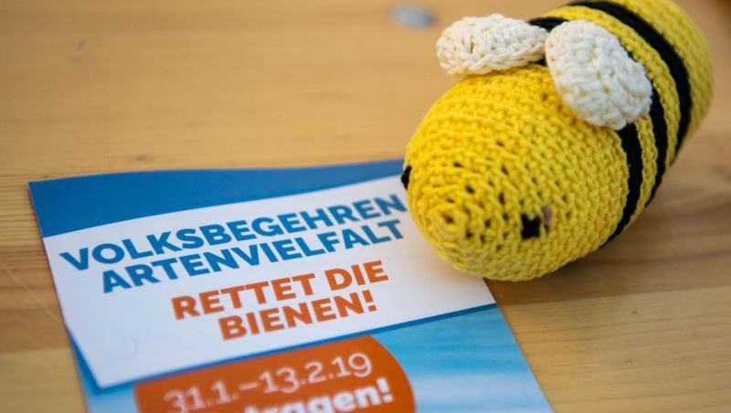 Eine Wollbiene liegt neben einem Prospekt des Volksbegehrens "Rettet die Bienen" auf einem Tisch. Foto: Lino Mirgeler/Archiv