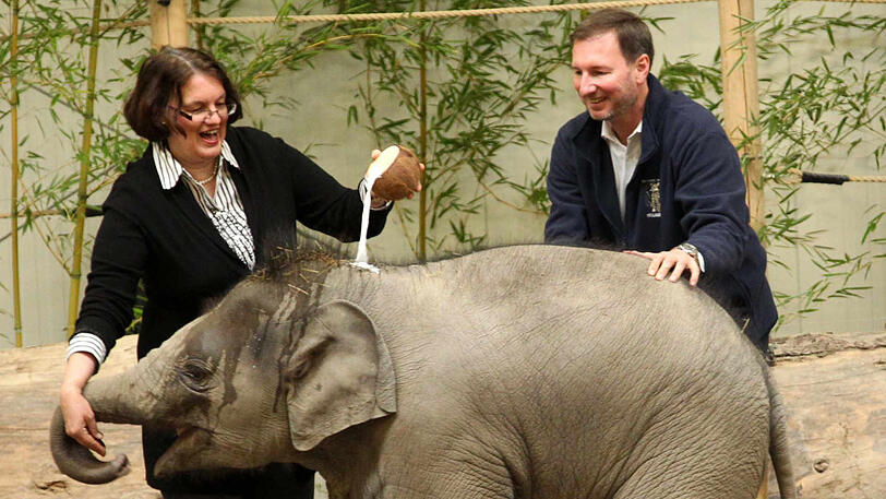 Dezember 2011: Christine Strobl, wo sie immer gern ist &ndash; im Tierpark Hellabrunn. Hier tauft sie den kleinen Elefanten Ludwig.