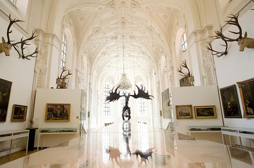 Besonders schön: Im Weißen Saal im Jagd- und Fischereimuseum stehen vor allem Exponate zur Kulturgeschichte der Jagd.Hier ist außerdem gut zu erkennen, dass das Museum mal eine Kirche war.
