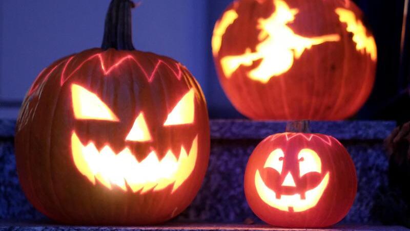Teilnehmer einer illegalen Halloween-Party haben in Gauting Teile eines Lagers für ein Corona-Notkrankenhaus zerstört. (Symbolbild)