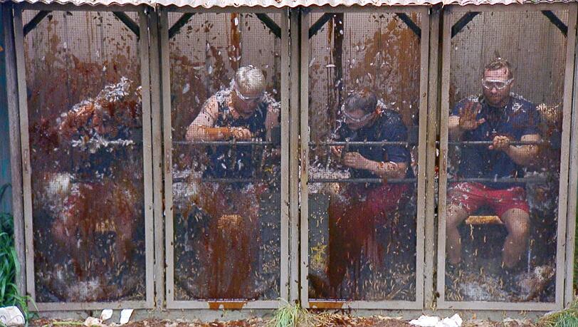 Die VIPs konnten in "Die WEH C-Promis" nur wenig Sterne ergattern. Die VIPs konnten in "Die WEH C-Promis" nur wenig Sterne ergattern.