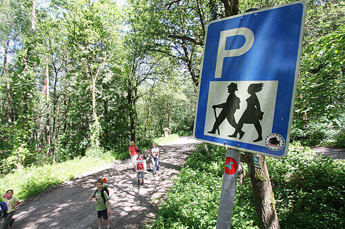 Auf diesem Weg im Reichswald fand die Prügelei statt. Hier wird das Amtsgericht morgen das Geschehen nachstellen.