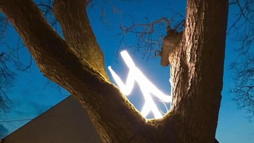 Ein Lichtmensch sitzt im Baum.