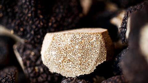 Ein aufgeschnittener Burgundertrüffel (Tuber uncinatum) auf einem Markt in der Schweiz. (Archivbild)