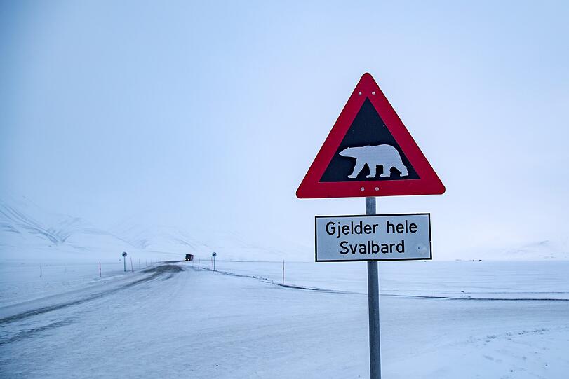 Gibt&rsquo;s nur auf Spitzbergen: Eisbär-Warnschilder.