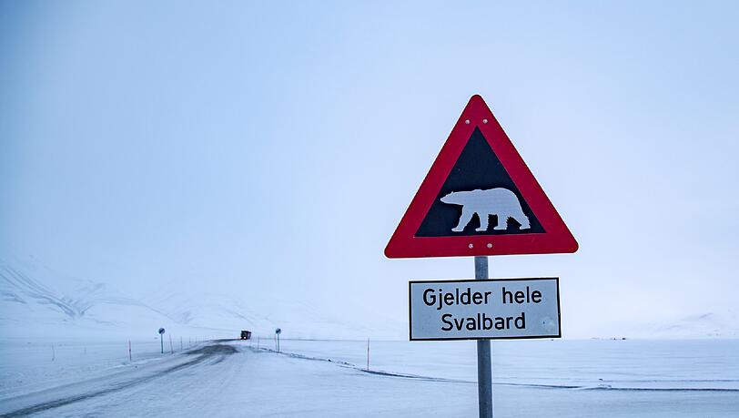 Gibt’s nur auf Spitzbergen: Eisbär-Warnschilder. Gibt’s nur auf Spitzbergen: Eisbär-Warnschilder.