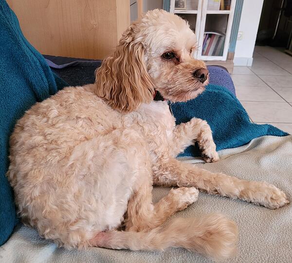 Bei Paula ist es beeindruckend wie Sie uns studiert hat und mit uns kommuniziert.