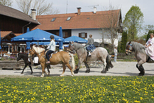Im Wirtsgarten des Urthalerhofs gibt&rsquo;s viel zu sehen: die Berge, satte grüne Wiesen mit Weideochsen und immer wieder auch vorbeiziehende Reiter in Dirndl und Lederhose.