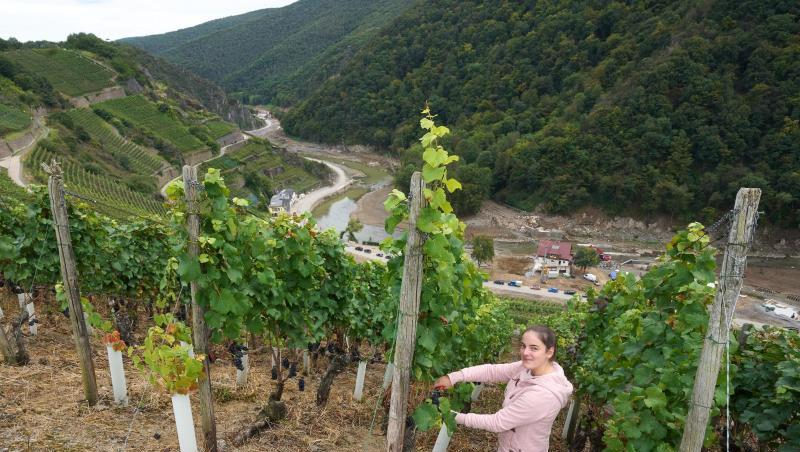 Eva Lanzerath, die gerade ihre Amtszeit als Deutsche Weinkönigin beendet hat, freut sich jedes Jahr auf die Weinlese.
