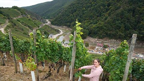 Eva Lanzerath, die gerade ihre Amtszeit als Deutsche Weinkönigin beendet hat, freut sich jedes Jahr auf die Weinlese.