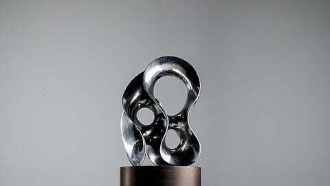 Diesen Award erhalten die Preisträger.