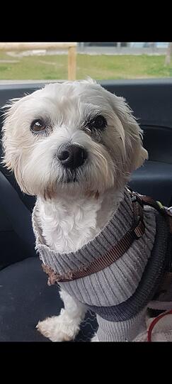Benny