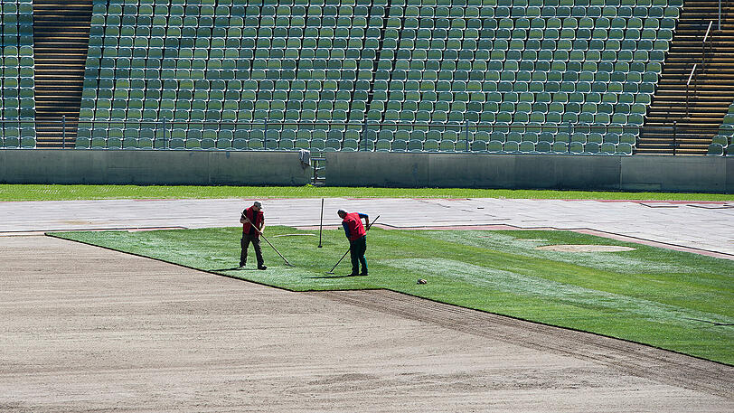 Die Olympiapark GmbH will dem Olympiastadion jetzt sein ursprüngliches Aussehen wiedergeben und verlegt dafür neuen Rasen.