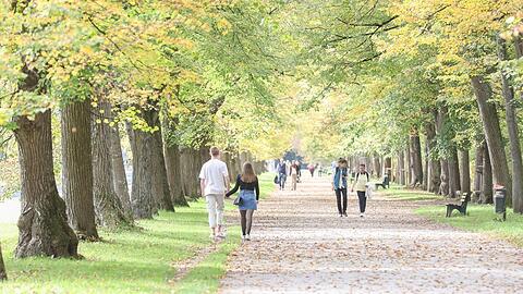 Ab Sonntag kommt der Goldene Oktober nach München und die Ausflugsregionen: Hier können Sie ihn in vollen Zügen genießen.
