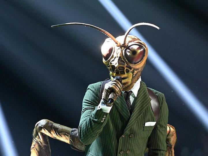 Der Grashüpfer in der ProSieben-Show "The Masked Singer".