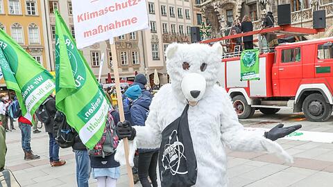 Der Eisbär hat ein Eigeninteresse an mehr Klimaschutz.