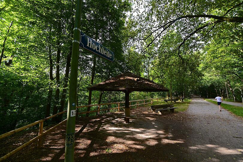 Harlaching in Bildern.