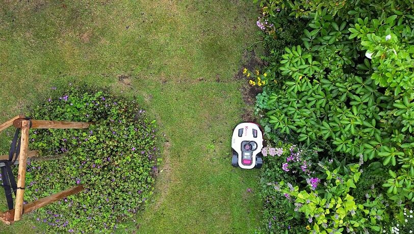Naturschützer warnen davor, dass Mähroboter eine Gefahr sein können - vor allem für nachtaktive Tiere. (Symbolbild)