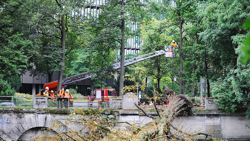 Einsatzfotos der Feuerwehr: Ein Baum stürzt in die Isar. Die Einsatzkräfte bergen die große Kastanie mit einem Kran Einsatzfotos der Feuerwehr: Ein Baum stürzt in die Isar. Die Einsatzkräfte bergen die große Kastanie mit einem Kran