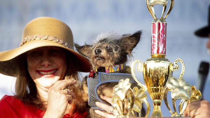 Darlene Wright mit ihren Hund "Scamp the Tramp" und Pokal beim "World's Ugliest Dog Contest" in Petaluma. Darlene Wright mit ihren Hund "Scamp the Tramp" und Pokal beim "World's Ugliest Dog Contest" in Petaluma.