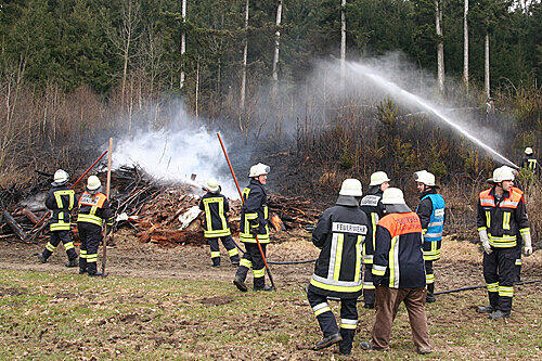 Für diese Jahreszeit ungewöhnlich früh muss sich die Feuerwehr mit Waldbränden herumschlagen.