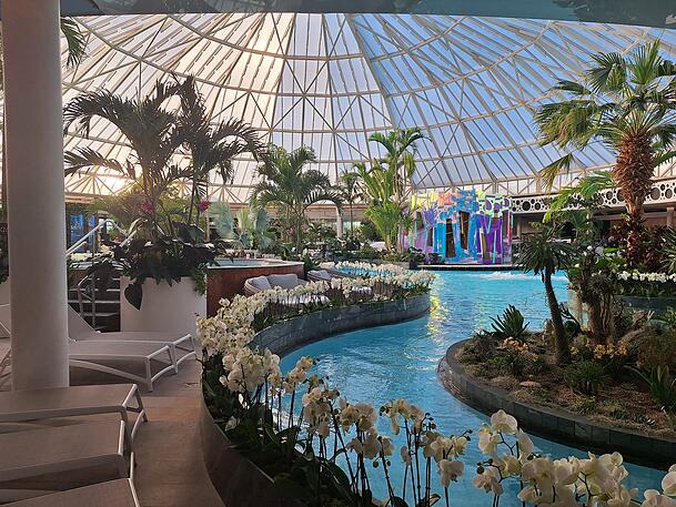 Weiße Orchideen und viele Palmen: Die Therme Erding ist grüner denn je. Dafür beschäftigt sie vier weitere Gärtner. Weiße Orchideen und viele Palmen: Die Therme Erding ist grüner denn je. Dafür beschäftigt sie vier weitere Gärtner.