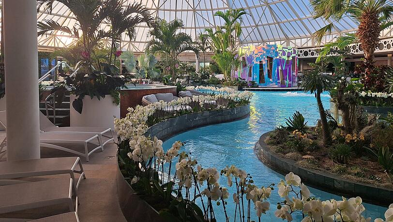 Weiße Orchideen und viele Palmen: Die Therme Erding ist grüner denn je. Dafür beschäftigt sie vier weitere Gärtner. Weiße Orchideen und viele Palmen: Die Therme Erding ist grüner denn je. Dafür beschäftigt sie vier weitere Gärtner.