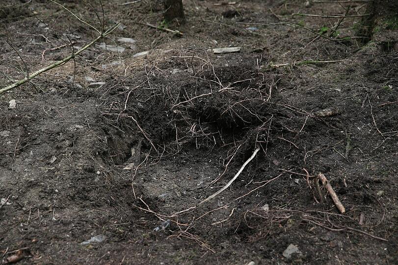 Hier fand der Pilzsammler die Skelettteile von Peggy.