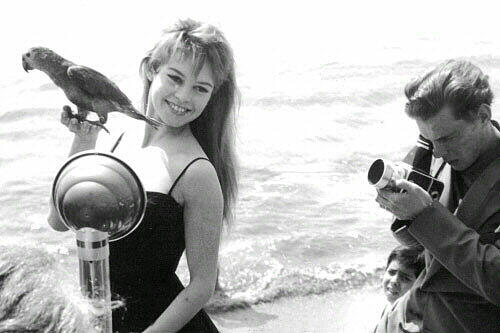 Die frühere Filmdiva Brigitte Bardot muss sich wegen Anstachelung zum Rassenhass vor einem Pariser Gericht verantworten. Die BB schrieb an Nicolas Sarkozy, die (muslimische) Bevölkerung «zerstört unser Land, indem sie uns ihre Bräuche aufzwingt».