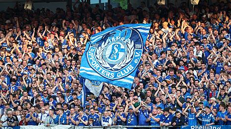 Schalke-Fans bei einem Fu&szlig;ballspiel - gut m&ouml;glich, dass auch einige von ihnen schalke04 als Passwort auserkoren haben.