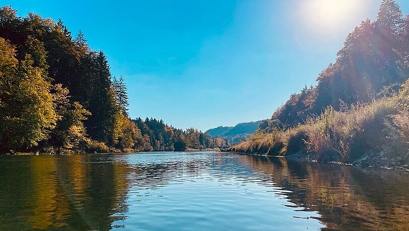 Rein geht's. Solange die Sonne noch &uuml;ber die B&auml;ume kommt, ist es warm auf dem SUP.